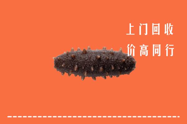 旬邑县回收海参